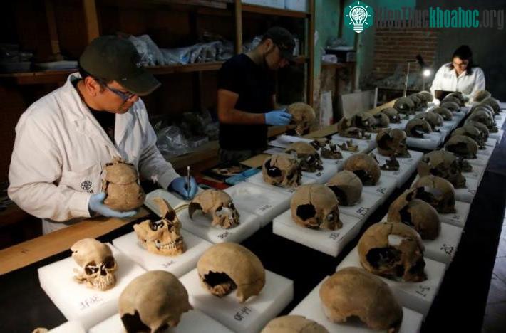 Aztec là tên gọi một số dân tộc tại miền trung Mexico ngày nay.