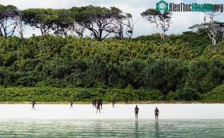 Một hòn đảo với vẻ đẹp nên thơ, hoang dã và đầy bí ẩn. Có điều, bất kỳ ai cũng bị nghiêm cấm đặt chân lên và hậu quả không dừng lại ở việc pháp luật trừng trị. Xem thêm tại đây