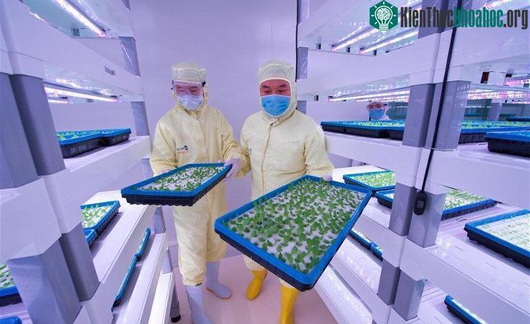 Tiền thưởng cao có thể làm giảm chất lượng nhiều công trình nghiên cứu ở Trung Quốc. (Ảnh: Stephen Chen).