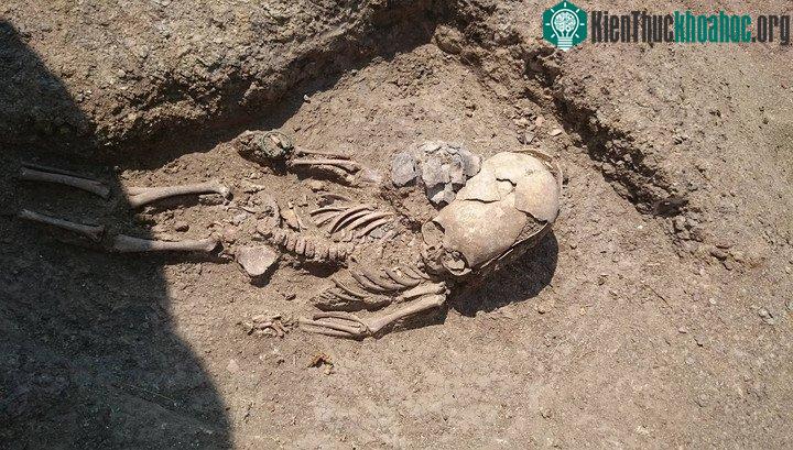 Hài cốt với hộp sọ dài đặc biệt của bé trai. (Ảnh: archae.ru).