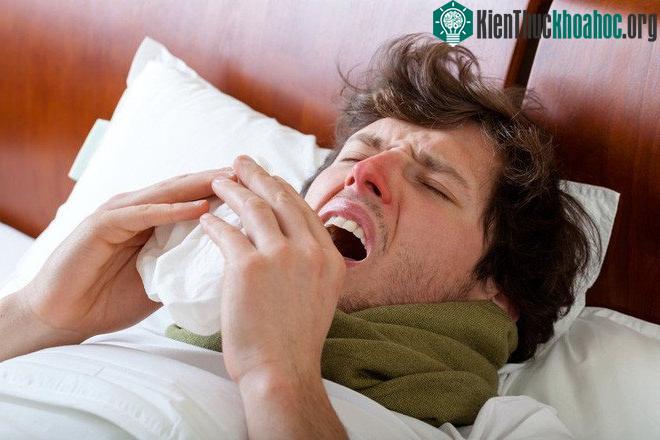 Con người dường như không thể hắt hơi trong lúc đang ngủ