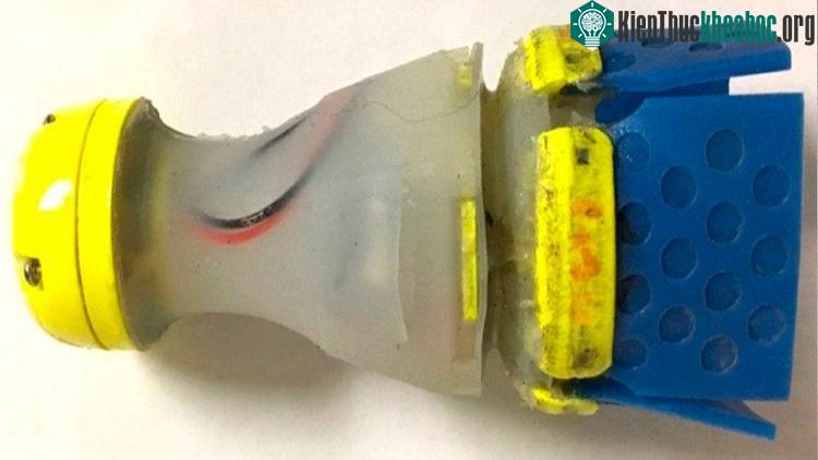 Robot dò tìm ống nước của nhóm kĩ sư MIT. (Ảnh: MIT).