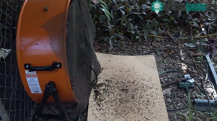 Chiếc bẫy có thể bắt hàng nghìn con muỗi mỗi đêm.