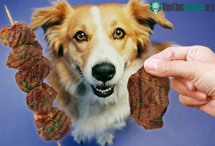 Khi lượng thịt tiêu thụ tăng, lượng thịt sản xuất cũng phải tăng thêm.