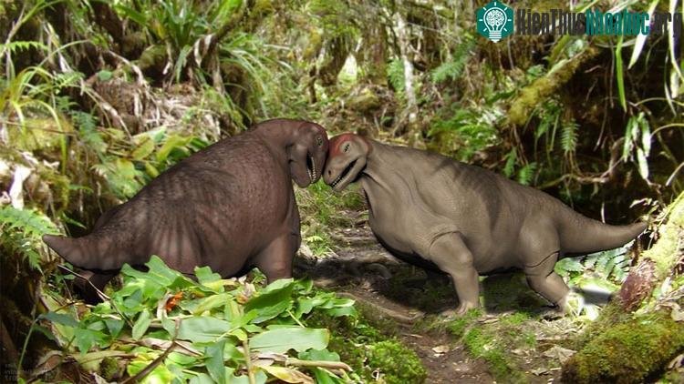 Khủng long Moschops capensis được cho có sở thích đâm đầu vào vạn vật. (Ảnh: Alex Bernardini).