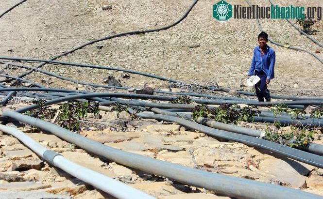 Ninh Thuận được xem là vùng Xavan ở Việt Nam với lượng mưa ít nhất cả nước - (Ảnh: MINH TRÂN).