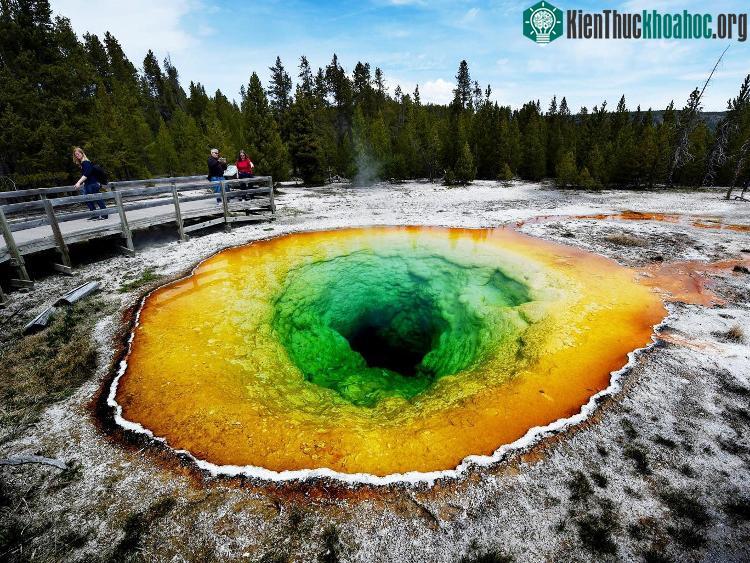 Suối nước nóng Morning Glory trong công viên quốc gia Yellowstone. (Ảnh: Independent).