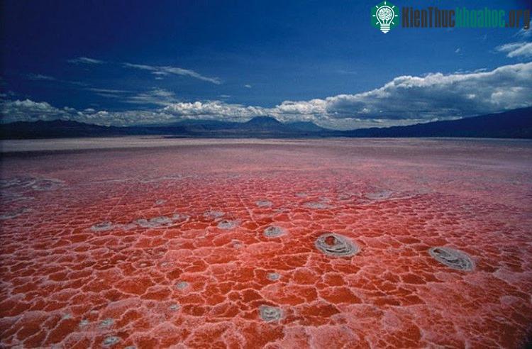 Hồ Natron