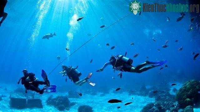 Đây là tuyến cáp biển đóng một vai trò chính yếu của Đông Nam Á nói chung và Việt Nam nói riêng.