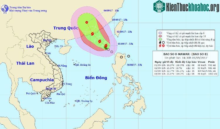 Vị trí và đường đi của bão số 8.