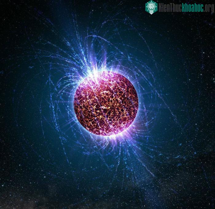 Nông dân Mexico đang thu hoạch xương rồng.
