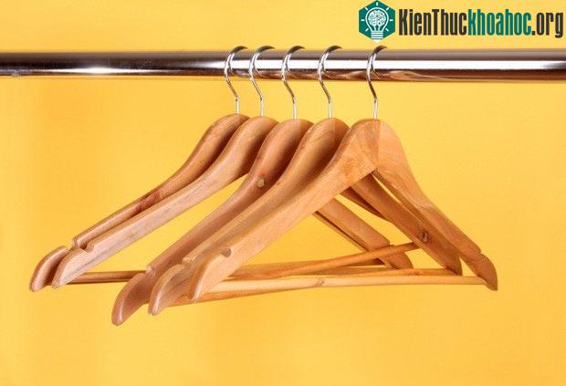 Mắc treo quần áo từ gỗ cây tuyết tùng có thể đuổi sâu mọt và nấm mốc.