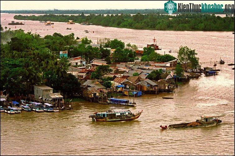 Làng chài trên sông Hậu ở Cần Thơ.