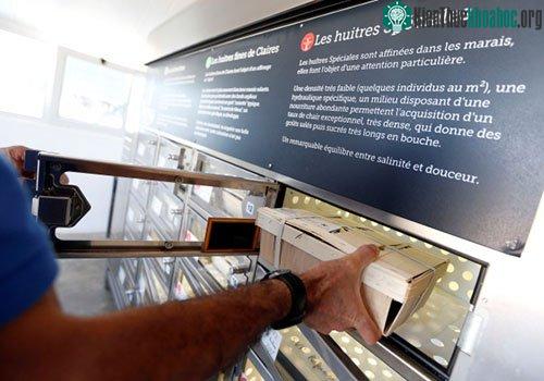 Ông Tony Berthelot xếp các hộp hàu vào máy bán hàng tự động. (Ảnh: Reuters).