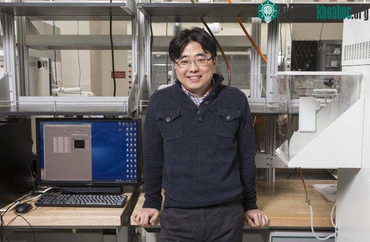 PGS Seokheun Choi - (Ảnh: Binghamton University).