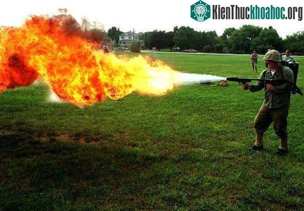 Loại súng này ban đầu được dùng để diệt cây cối.