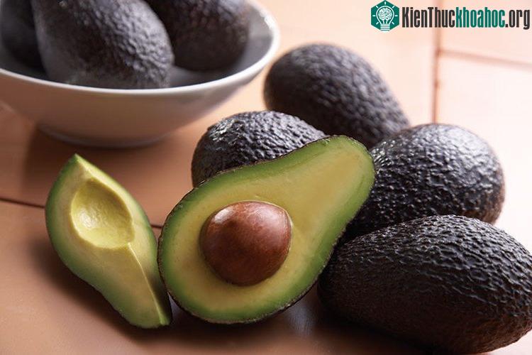 Hàm lượng chất xơ trong bơ cao giúp chúng ta no lâu hơn.