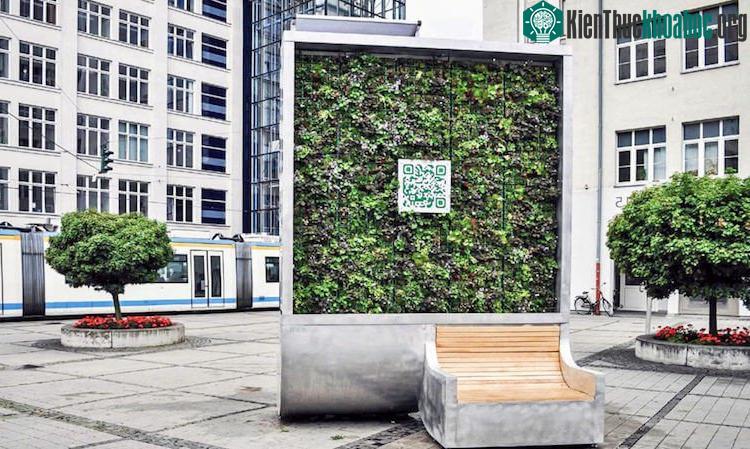 Trong một năm, CityTrêe loại bỏ được 240 tấn CO 2 .