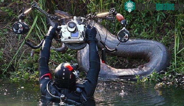Tất cả những gì ông có được chỉ là chiếc camera chống nước chuyên dụng và một bộ đồ lặn.