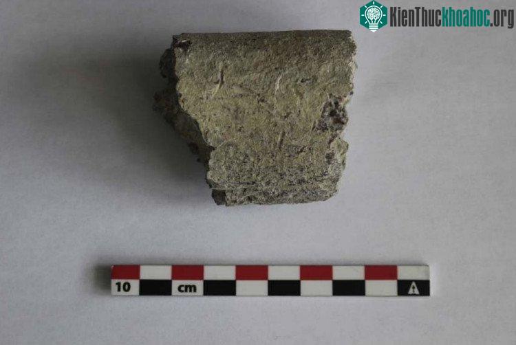 Mẫu ống nước chứa antimony thu được từ Pompeii. (Ảnh: Toxicology Letters).