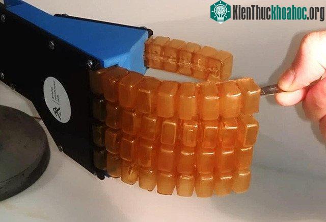Một nhà khoa học đâm vào cánh tay robot tự làm liền.