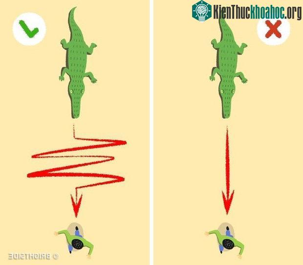 Hãy chạy theo đường zic zắc để trốn thoát.