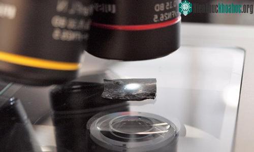 Dây chun graphene có thể được sử dụng trong nhiều lĩnh vực khác nhau. (Ảnh: Business Insider).