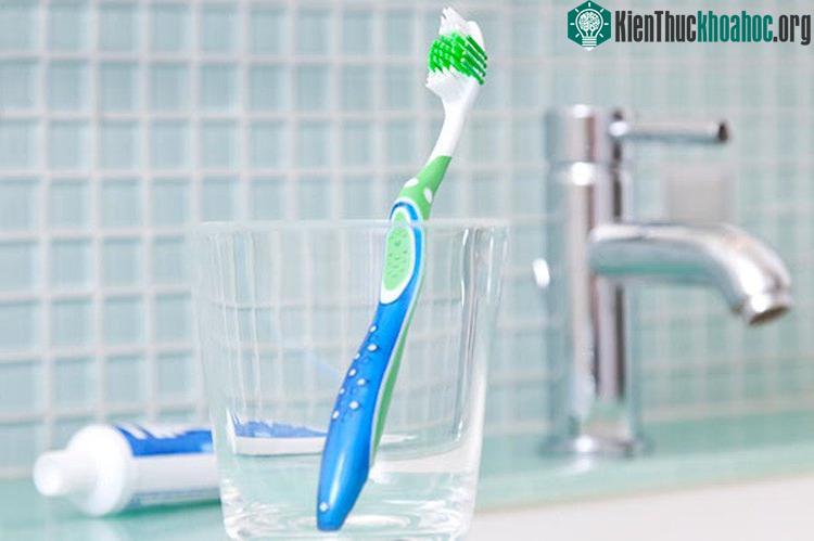Nên giữ bàn chải ở nơi khô ráo sau khi rửa sạch.