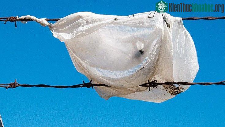 Túi nhựa cần đến hàng trăm, hàng ngàn, thậm chí hàng chục ngàn năm để phân hủy.