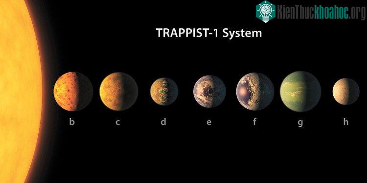 Trappist-1b và Trappist-1c có nhiều khả năng chứa rất nhiều nước.