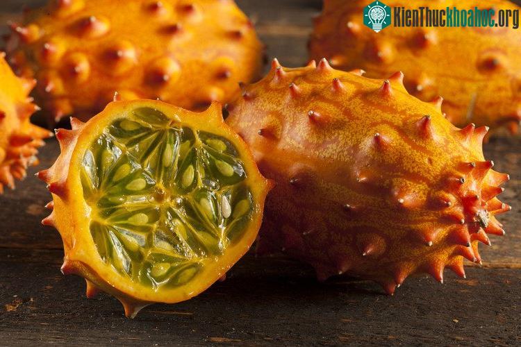 Giống dưa kỳ lạ này có nguồn gốc từ vùng Kalahari, Châu Phi.