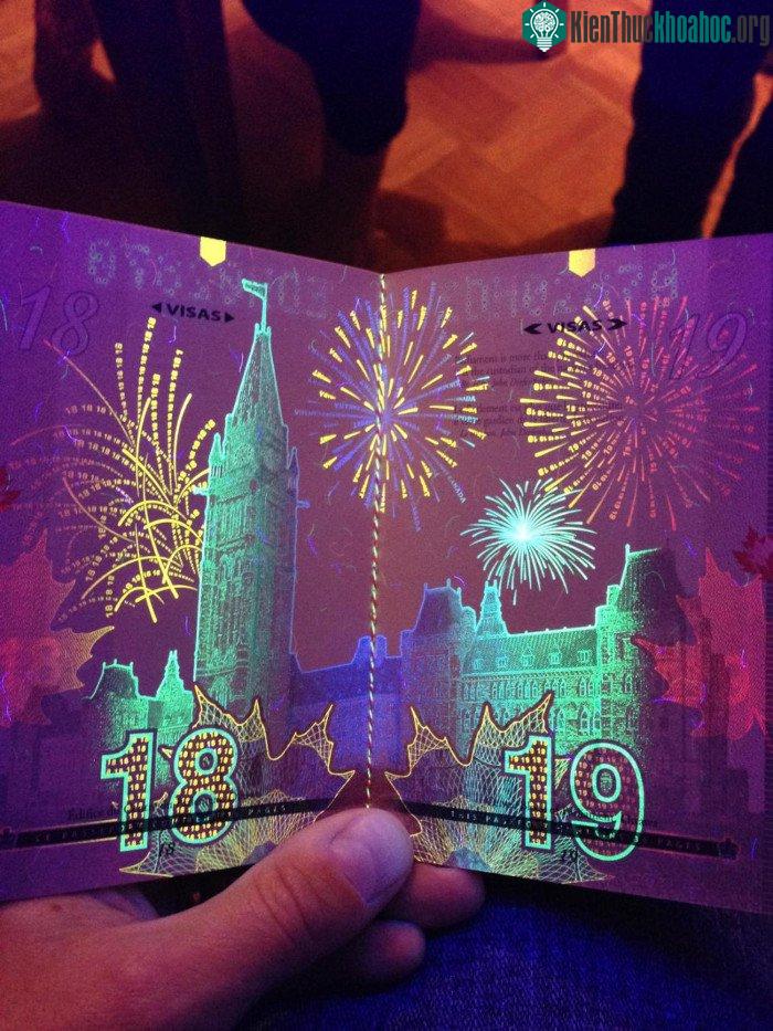 Hộ chiếu Canada cũng hết sức ấn tượng dưới tia UV