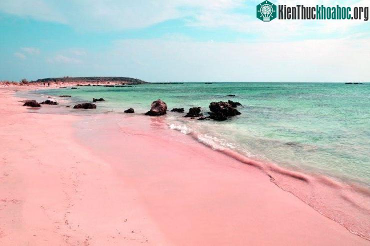 Mùa hè ở đây rất nóng, ẩm và thường có bão.