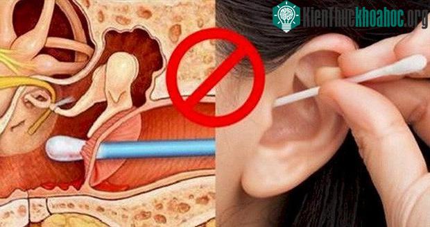 Tai có cơ chế tự làm sạch nên bạn không cần phải ngoái tai đâu.
