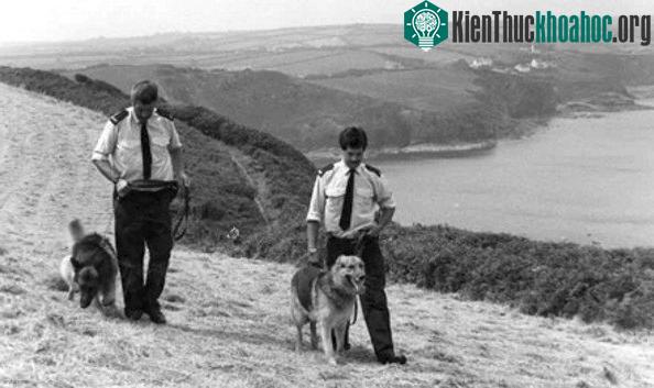 Công nghệ giám định hiện đại giúp cảnh sát xứ Wales phá được 4 vụ giết người và hiếp dâm bí ẩn cách đây hai thập kỷ. Xem thêm tại đây