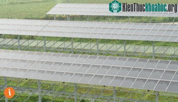 Ngành công nghiệp năng lượng mặt trời là một quả bom nổ chậm.