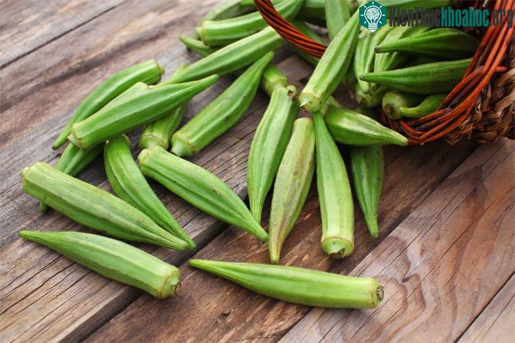 Chất nhầy trong đậu bắp có tác dụng làm giảm hàm lượng cholesterol xấu trong máu.