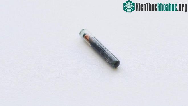 Chip được thiết kế để mạnh để không bị vỡ nát sau khi được cấy vào da.