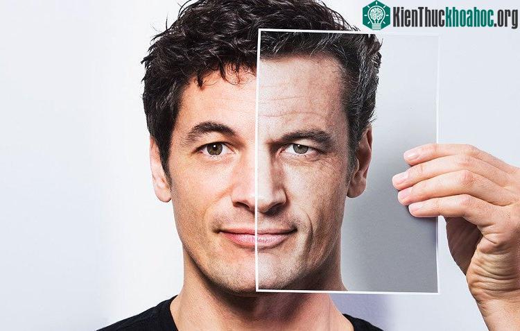 Con người sắp tới sẽ có một cuộc cách mạng lớn về mặt y học nếu thử nghiệm thành công.