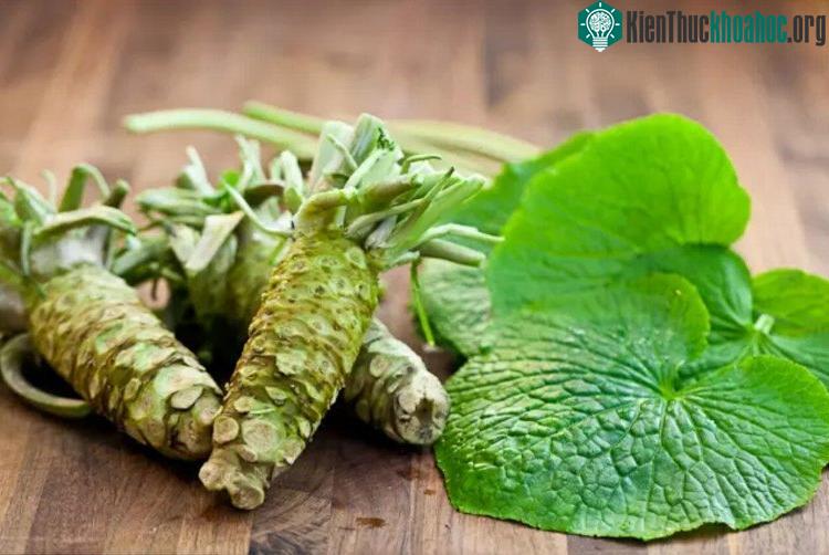 Một cây wasabi hoàn chỉnh.