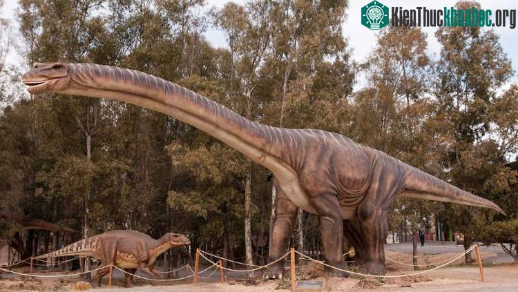So về kích cỡ, T-rex và Patagotitan mayorum cũng giống như sư tử với voi vậy.