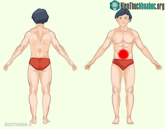 Vấn đề liên quan đến ruột non thường gây đau ở vùng rốn.