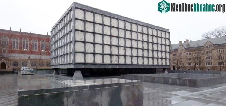 Thư viện vào ngày mưa, bức ảnh này mô tả 4 trụ lớn ở các góc để hỗ trợ cho căn nhà.