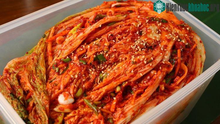 Đồ lên men cũng giống như một nguồn cung cấp lợi khuẩn cho cơ thể.