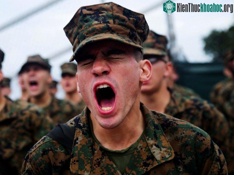 Dự án Persistence in Combat ra đời nhằm giúp các chiến binh có thể phục hồi ngay tức thì khi bị thương.