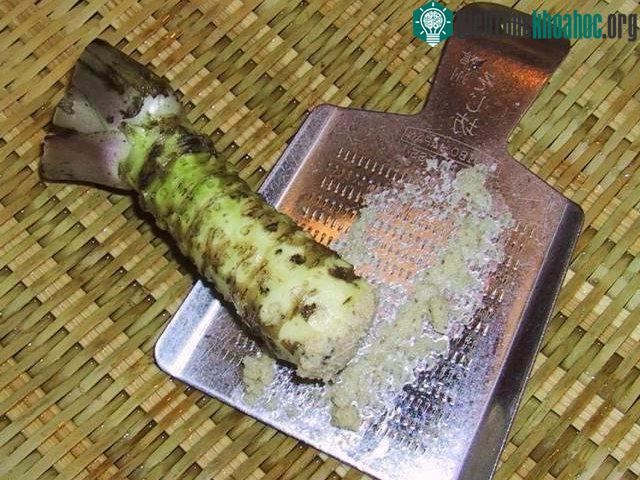Wasabi tươi được mài ra.