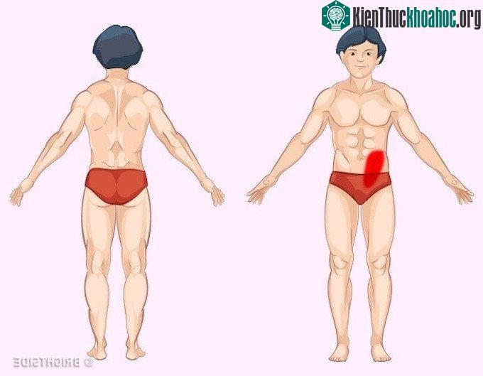 Nếu bị bệnh liên quan đến ruột già, bạn sẽ xuất hiện cơn đau ở bụng dưới bên phải.