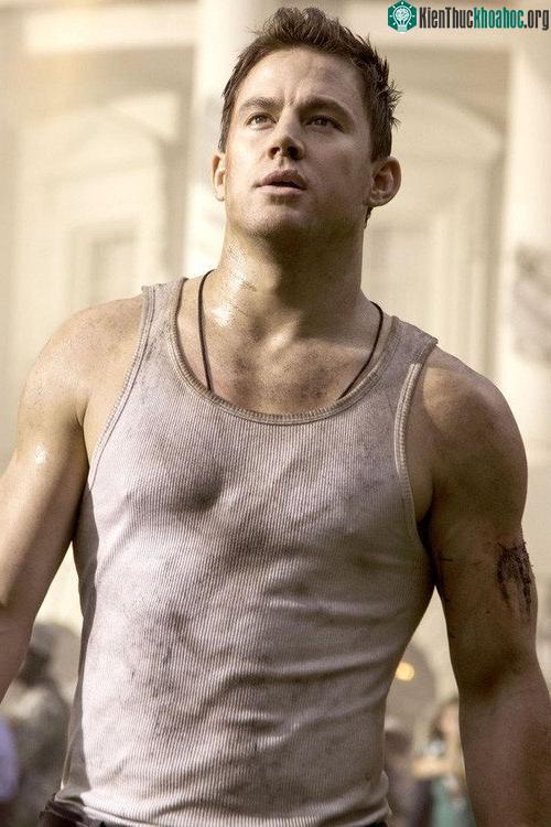 Channing Tatum cũng rất sợ búp bê.