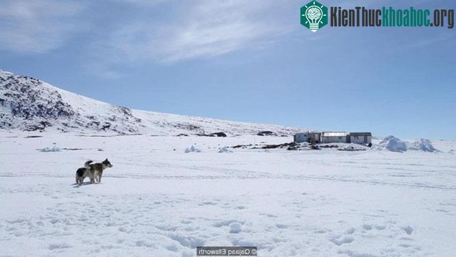 Người Inut có ở khắp nơi từ Greenland, Alaska, Canada, tới Nga