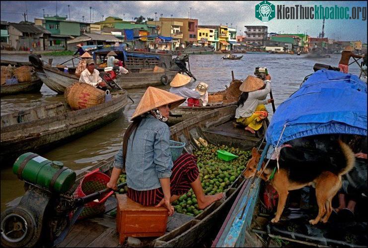 Một góc chợ nổi Phong Điền, Cần Thơ năm 2007.